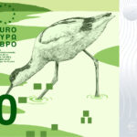 Neues Eurodesign der Serie B von PunktFormStrich. Die Vorderseite des 100-Euro-Scheins zeigt einen Säbelschnäbler, der durch eine Flussmündung stakst.