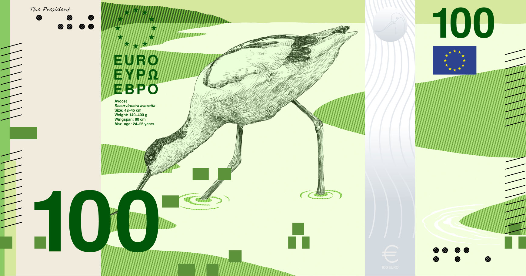 Neues Eurodesign der Serie B von PunktFormStrich. Die Vorderseite des 100-Euro-Scheins zeigt einen Säbelschnäbler, der durch eine Flussmündung stakst.