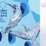Neues Eurodesign der Serie B von PunktFormStrich. Die Vorderseite des 20-Euro-Scheins zeigt Bienenfresser in einem eingegrabenen Flusstal.
