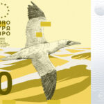 Neues Eurodesign der Serie B von PunktFormStrich. Die Vorderseite des 200-Euro-Scheins zeigt einen Basstölpel über der hohen See.