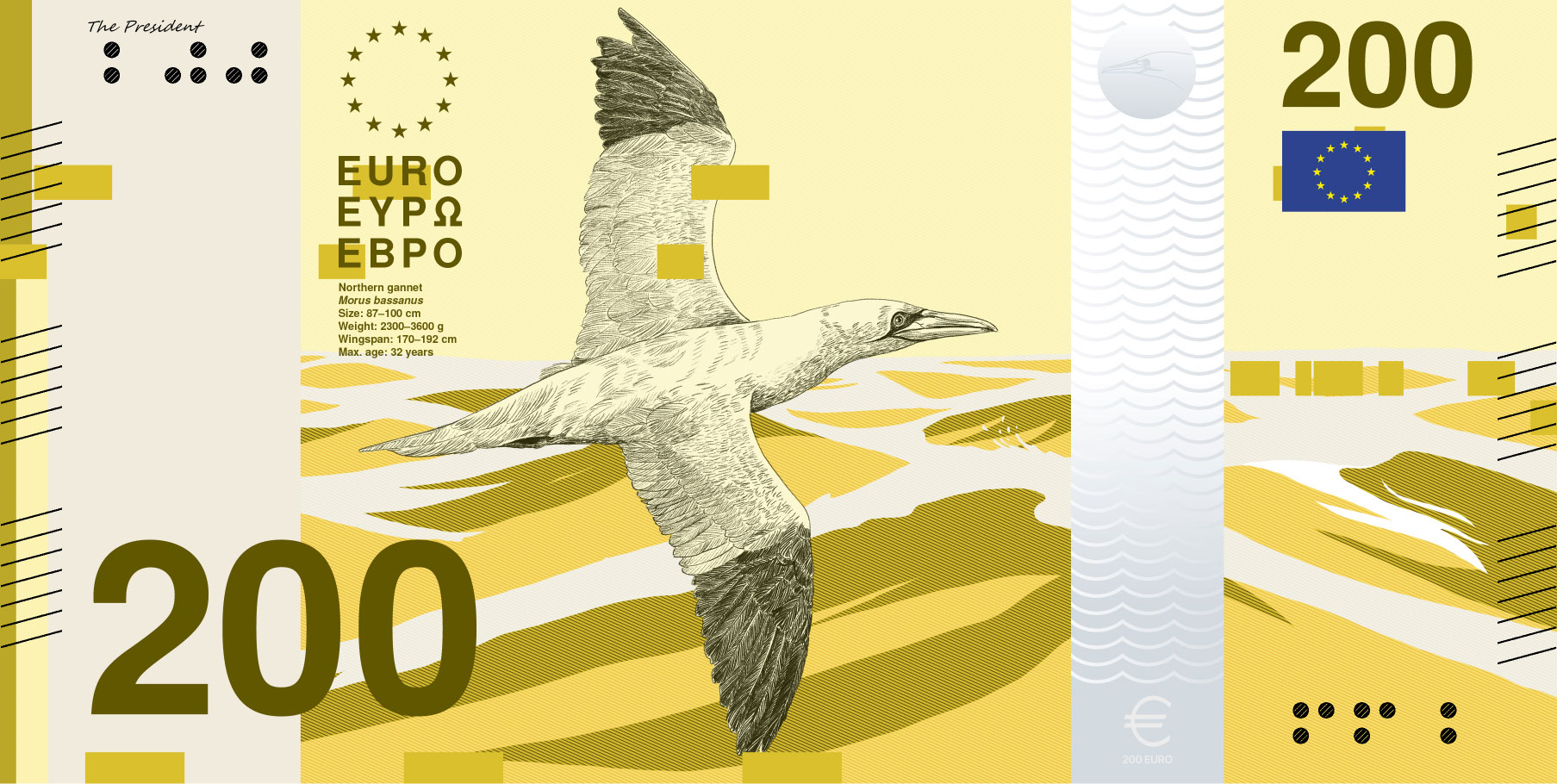 Neues Eurodesign der Serie B von PunktFormStrich. Die Vorderseite des 200-Euro-Scheins zeigt einen Basstölpel über der hohen See.