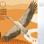 Neues Eurodesign der Serie B von PunktFormStrich. Die Vorderseite des 50-Euro-Scheins zeigt einen Weißstorch über einem gewundenen Fluss.