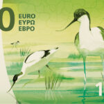 Neuer Eurodesignentwurf der Serie H von Atelier Goppel-Toperngpong. Die Vorderseite des 100-Euro-Scheins zeigt Säbelschnäbler, die in einer Flussmündung durch das Wasser staksen und nach Nahrung suchen.