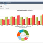 Verlauf von Einnahmen und Ausgaben über ein Jahr in Finanzmanager. Darunter findet sich ein Tortendiagramm der Kategorien,